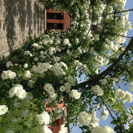 Agriturismo Casale Le Selvette Ripa Екстер'єр фото