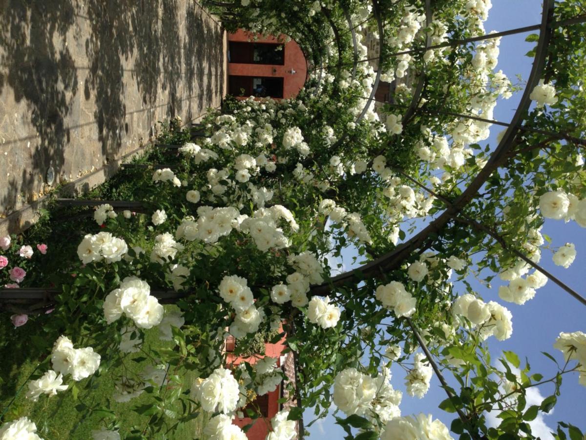 Agriturismo Casale Le Selvette Ripa Екстер'єр фото