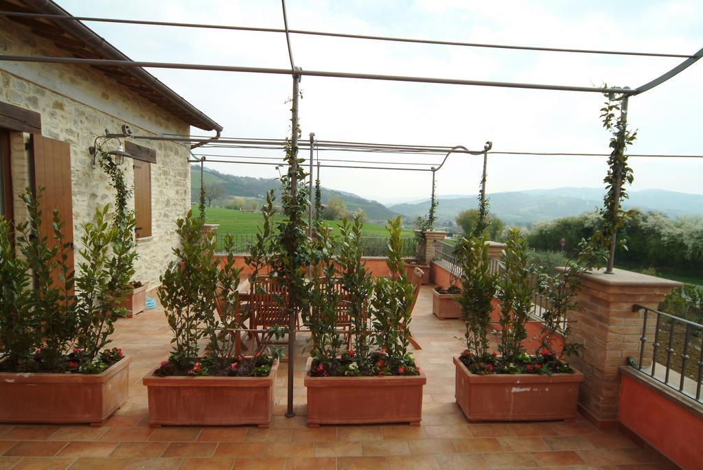 Agriturismo Casale Le Selvette Ripa Екстер'єр фото