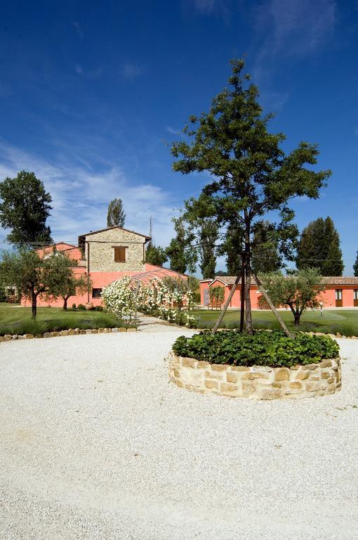 Agriturismo Casale Le Selvette Ripa Екстер'єр фото