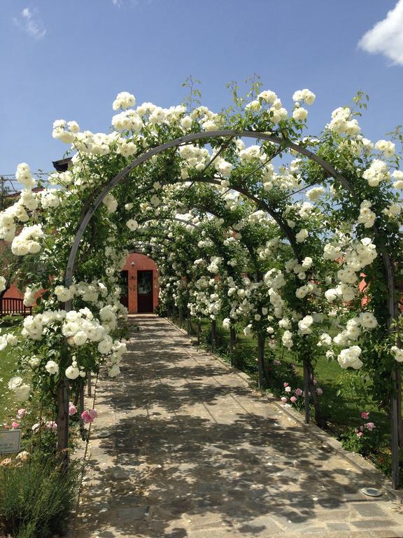 Agriturismo Casale Le Selvette Ripa Екстер'єр фото