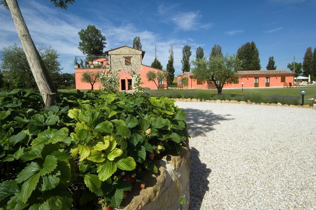 Agriturismo Casale Le Selvette Ripa Екстер'єр фото