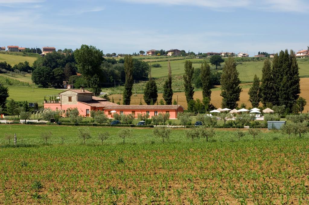 Agriturismo Casale Le Selvette Ripa Екстер'єр фото