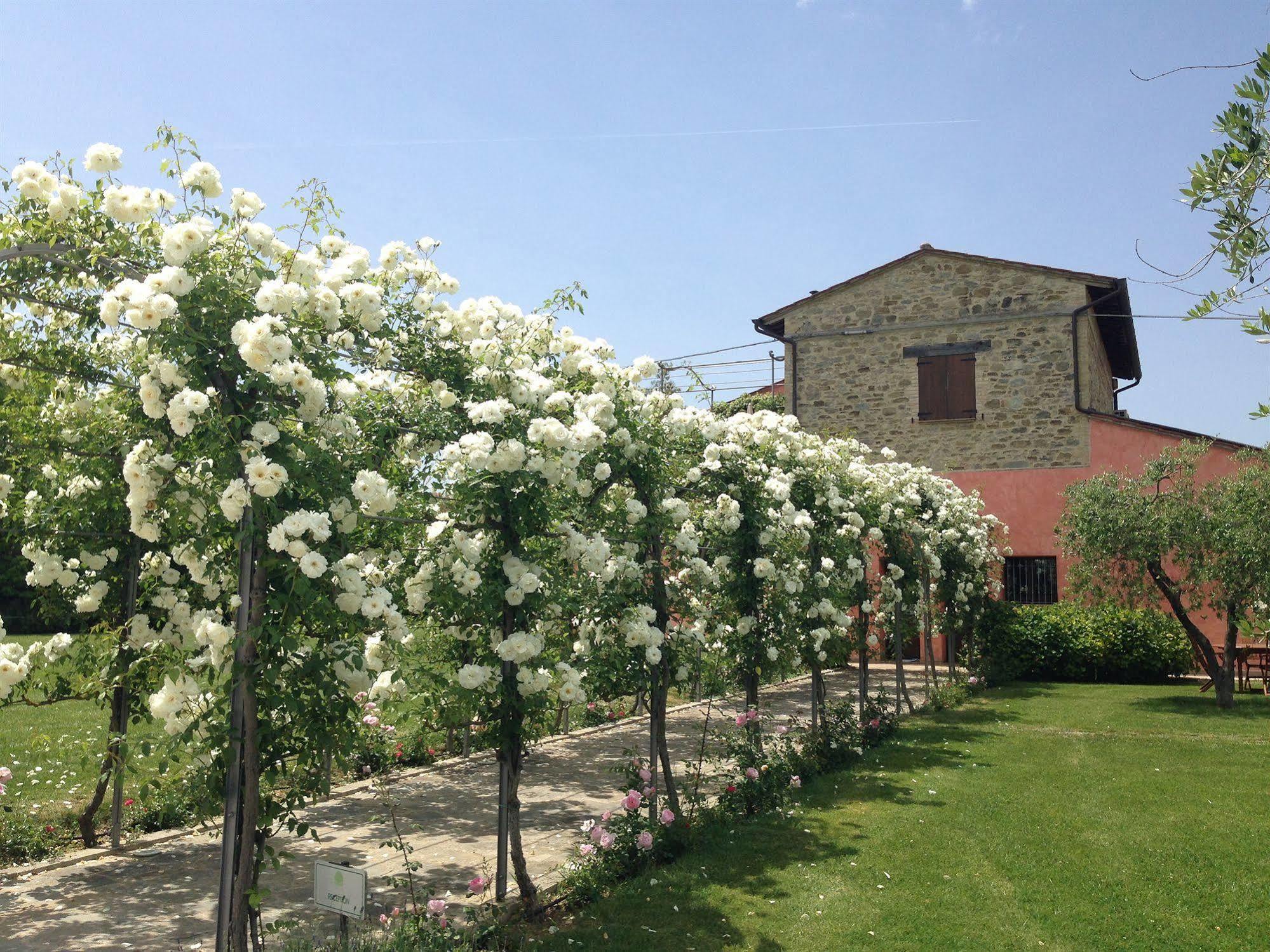Agriturismo Casale Le Selvette Ripa Екстер'єр фото