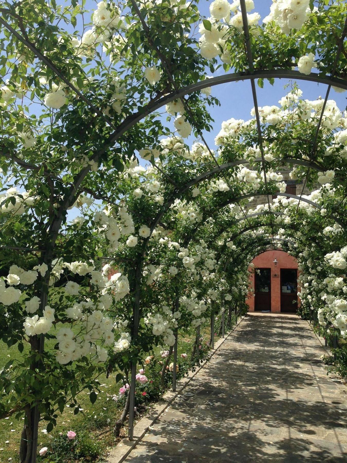Agriturismo Casale Le Selvette Ripa Екстер'єр фото